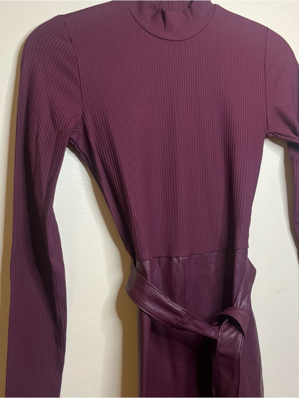 Colleen Lopez Long Sleeve Mock Neck Dress in Plum . New with no tags.